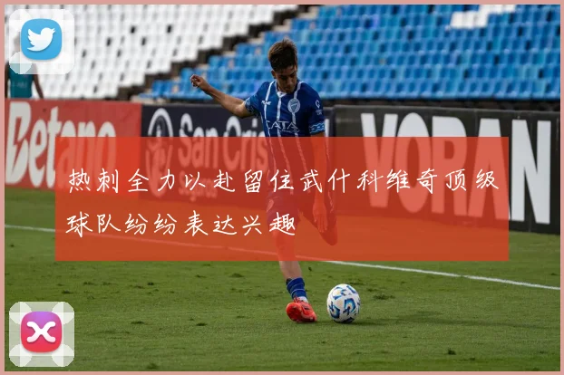 热刺全力以赴留住武什科维奇顶级球队纷纷表达兴趣