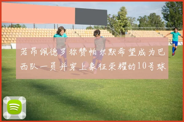 若昂佩德罗称赞帕尔默希望成为巴西队一员并穿上象征荣耀的10号球衣
